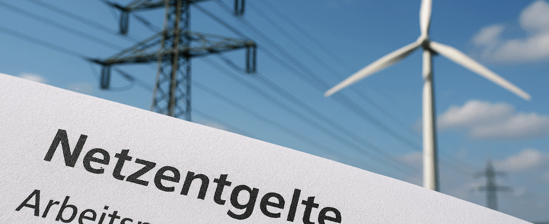 Netzentgelte